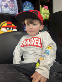 Disneyland- Spirit Jersey Marvel