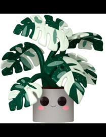 FLORA - POP JUMBO N° 13 - Monstera (Box Damage)