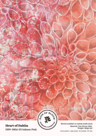 Proefstaal Heart of Dahlia - Salmon Pink