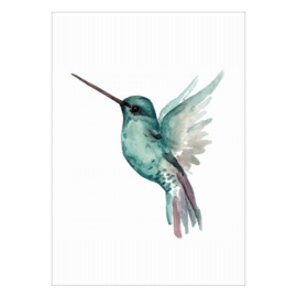 Poster - Hummingbird Jade