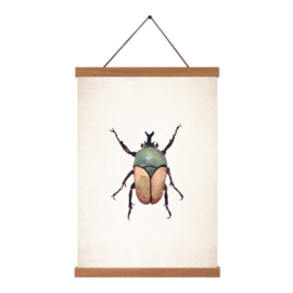 Poster A5 - Beetle Brown