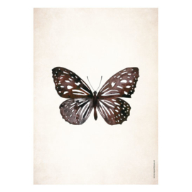 Poster A5 - Butterfly Universe