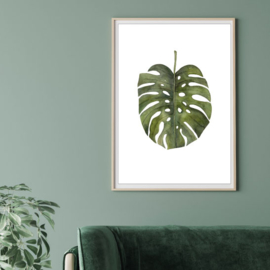 Planten poster - Monstera Deliciosa