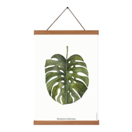 Planten poster - Monstera Deliciosa