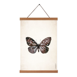Poster A5 - Butterfly Universe