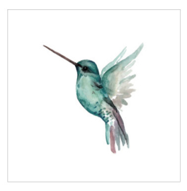 Wenskaart - Kolibrie Jade