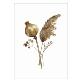 Droogbloemen poster - Dried Flowers