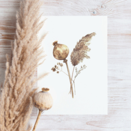 Droogbloemen poster - Dried Flowers