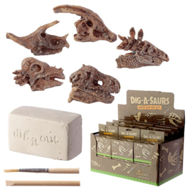 Dinosaurusus - Schedel - Fossiel - Opgravings Set - Dig it Out Kit