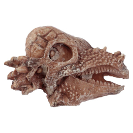 Dinosaurusus - Schedel - Fossiel - Opgravings Set - Dig it Out Kit