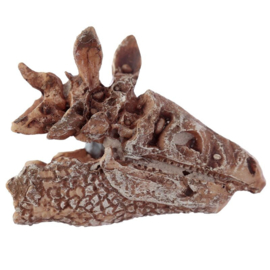 Dinosaurusus - Schedel - Fossiel - Opgravings Set - Dig it Out Kit