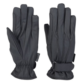 Handschoenen Alaska