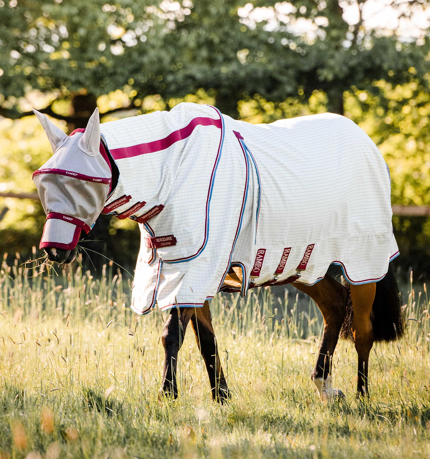 Rambo Optimo Supreme Summer Sheet