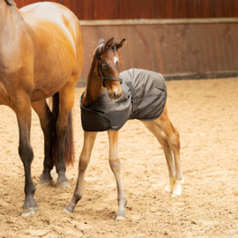 Veulendeken Stable 100gr