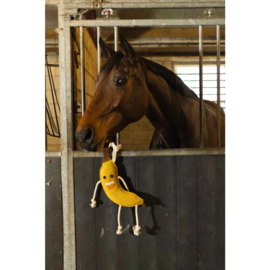 Excellent Horse Foodie Friends Banana