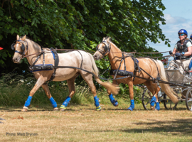 Zilco Classic Tandem voorpony tuig
