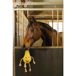 Excellent Horse Foodie Friends Pear