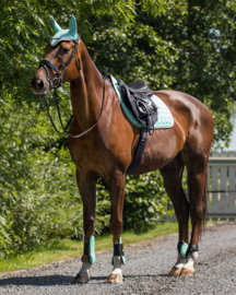 Peesbeschermers