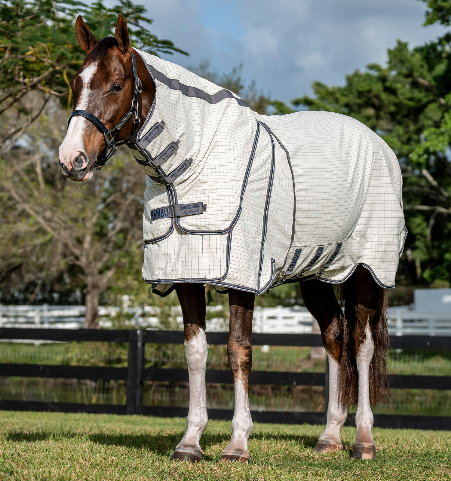 Rambo Optimo Supreme Summer Sheet