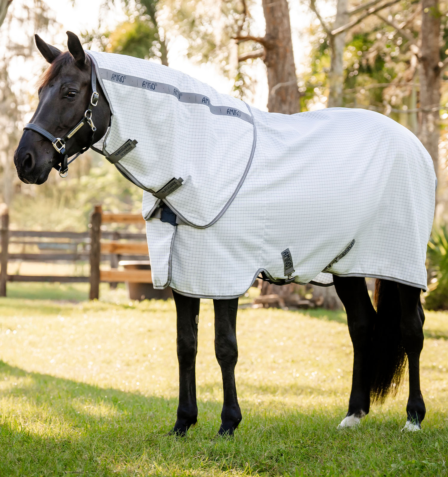 Amigo Summer Sheet Plus