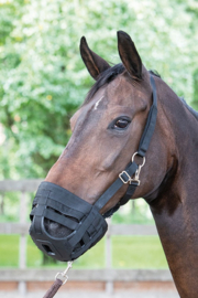 Graasmasker Grazing muzzle Air