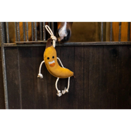 Excellent Horse Foodie Friends Banana