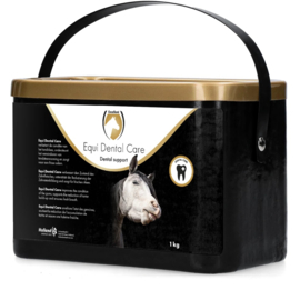 Excellent Equi Dental Care