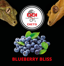 GECKO DIETS BLUEBERRY BLISS