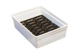EGG TRAY BRAPLAST