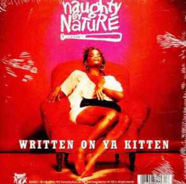 NAUGHTY BY NATURE - HIP HOP HOORAY 7"