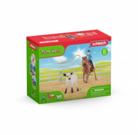 Paarden set