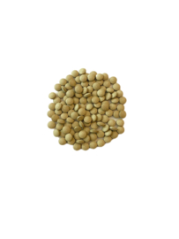 Allercin 120 tabletten