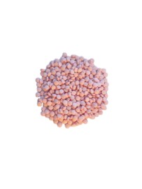 Vitamine B12