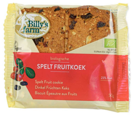 Fruitkoek