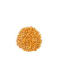 Vitamine B Complex
