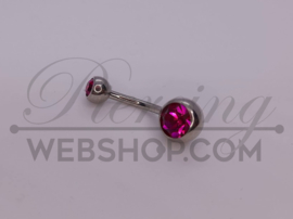 Fuchsia Chirurgisch Staal