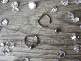 D-Ring Chirurgisch Staal