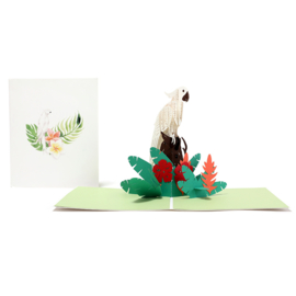 Witte papegaai dierenkaart pop-up wenskaart