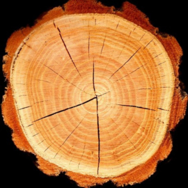 Boreal (The Niche Collection)