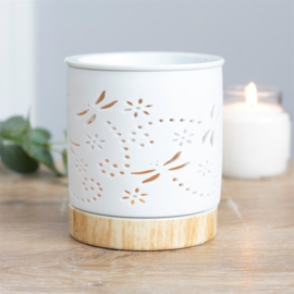 Brander Wit dragonfly
