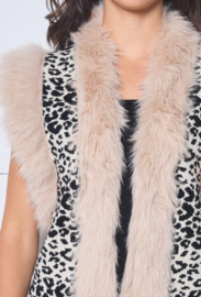 Gilet Nova