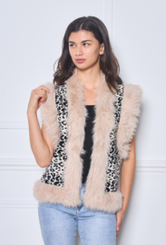 Gilet Nova