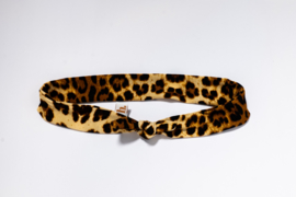 hairband leopard (adult)