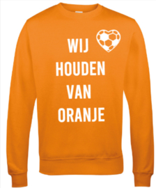 Sweater voor volwassenen