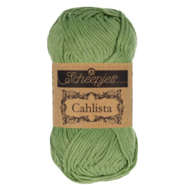 Cahlista  212 Sage Green