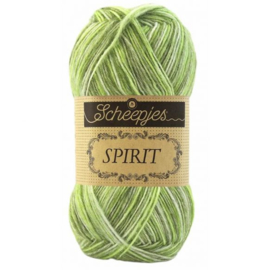 Spirit 307 Grasshopper