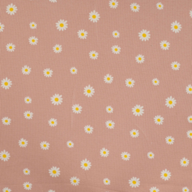 Daisy's Dusty Salmon