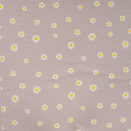 Daisy's Sand