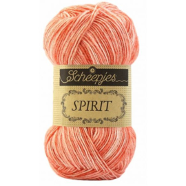 Spirit 313 Salmon