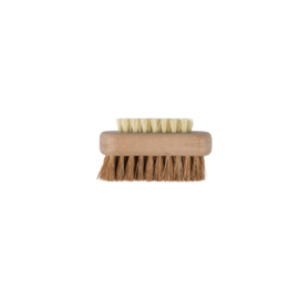 Biscuit  cactus-Coconut nailbrush